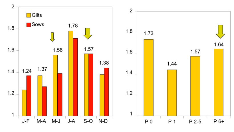Abortions by season and by parity (Koketsu, 2015).